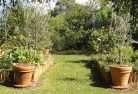 Giffard Westvegetable-gardens-3.jpg; ?>